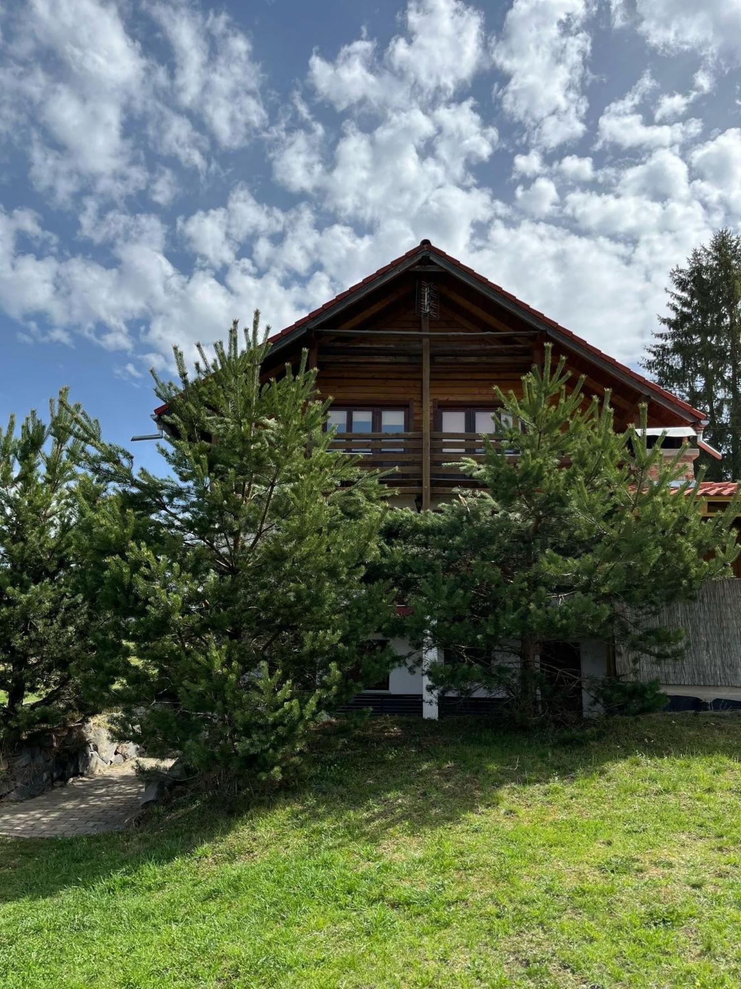 Villa Alpesi kulcsos ház Izvoru Mureşului Esterno foto